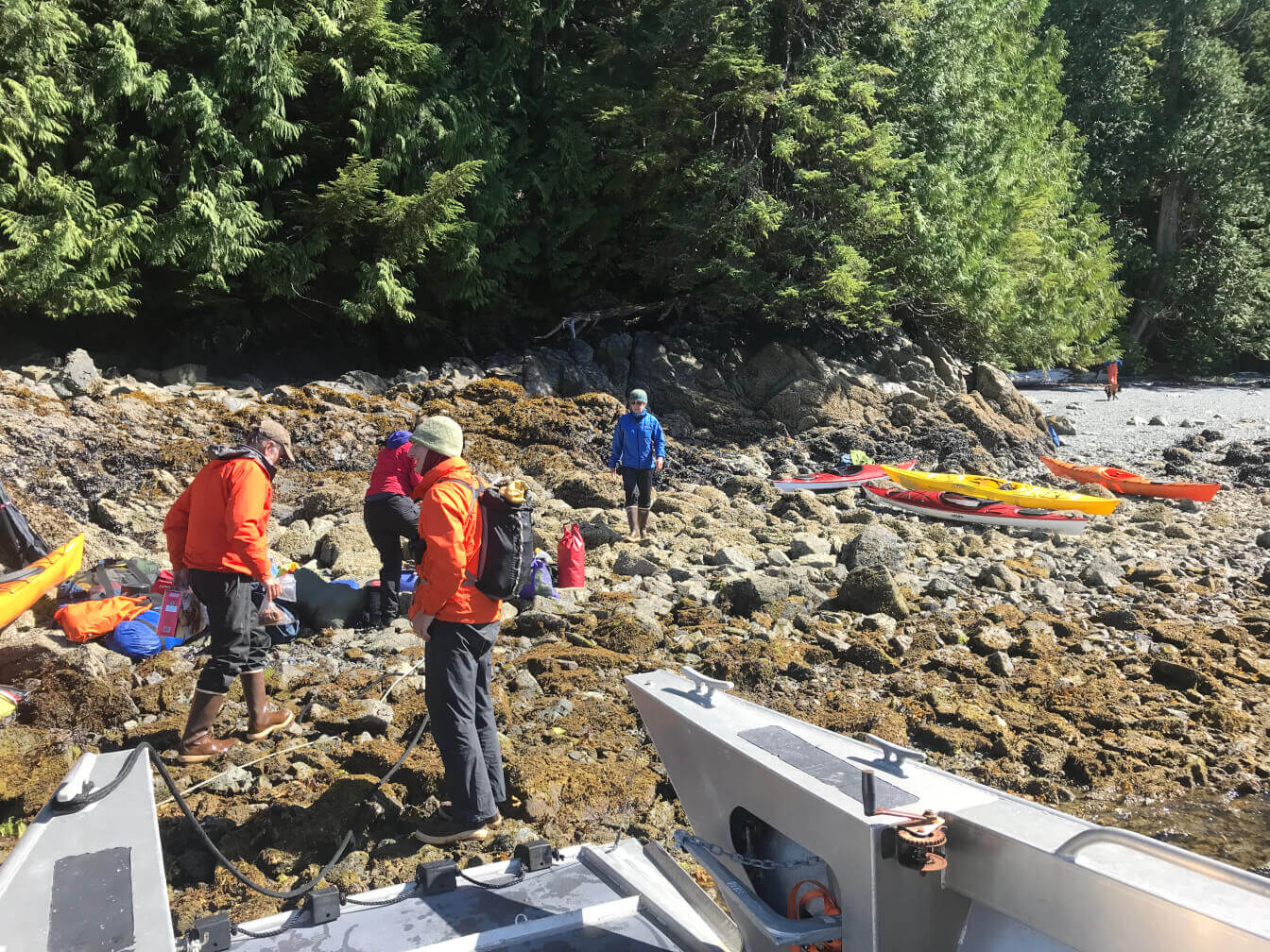 Prince of Wales Excursion Outfitter | Southeast Alaska